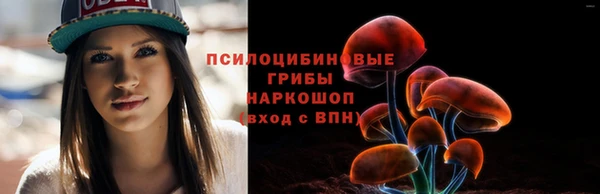 мдпв Наволоки