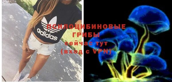 спайс Надым