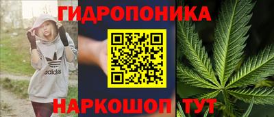 PSILOCYBIN Гагарин