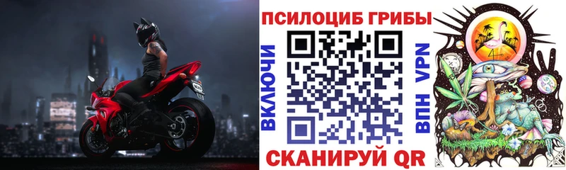 Галлюциногенные грибы Cubensis наркотики Калуга