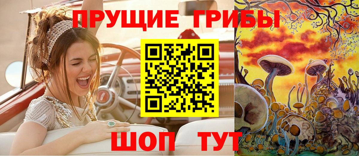 Галлюциногенные грибы Psilocybine cubensis Калуга